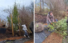 Při ekologické výuce vysadili studenti dvanáct stromů. Získají Cenu kraje?