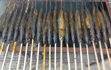 Makrelománie: Kam zajít na opékanou rybu na klacku?