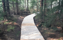 Na Rejvíz po opraveném chodníku. AOPK pracuje na opravě turistických cest