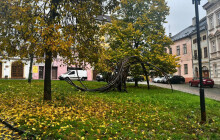 Budí emoce, zdobí Smetanovy sady i další místa. Sochy Jana Dostála zaplavily Olomouc