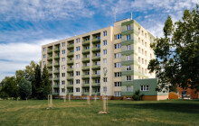 Zelenější Univerzita Palackého. V okolí kolejí vysázela téměř 50 stromků