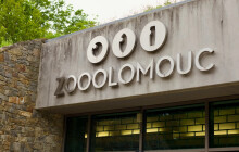 Sobí stádo z Olomouce se rozrůstá. Zoo láká i neslyšící návštěvníky