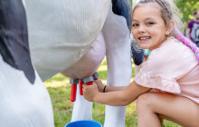 Festival Dožínky Olomouckého kraje bude o inovacích a technologiích v zemědělství