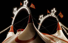 Přijíždí světová show. Cirkus Berousek je v Olomouci a zve na pár exkluzivních představení