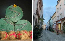 SOUTĚŽ: Vyfoťte vánoční výzdobu a vyhrajte vstup na výstavu koček