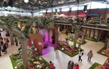 Flora Hortikomplex začíná zítra. Jak se změní jízdní řády?