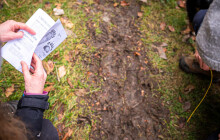 V Jeseníkách se narodila vlčata. Nová vlčí teritoria vznikají hlavně u hranic