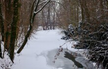 Jak se chránit před nemocemi? Radí lékařka z Olomouce
