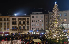 Rozhodnutí padlo. Olomoucký vánoční strom je vybraný