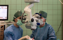 Zelená Olomouc i otevřené dveře v šumperské nemocnici. Připomínáme si významné dny