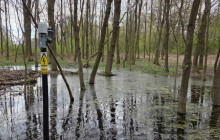 Technické služby opět v akci. V Olomouci znovu začíná boj proti komářím larvám