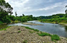 Pokuta 5 milionů. Finanční postih musí Energoaqua zaplatit za otravu Bečvy