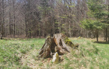 Král Jeseníků tu vládl přes dvě stě let. Najde se nástupce?