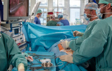 Patří mezi nejlepší v republice. Fakultka získala ocenění pro čtyři obory