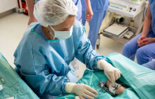 PICC tým se mění. Rozšiřuje činnost a nově spadá pod kliniku kardiochirurgie