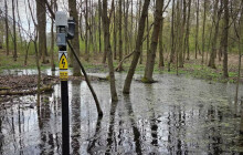 Město zasáhlo proti komářím larvám. Pomohly sondy i univerzitní specialisté