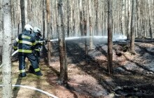 Mimořádné sucho a vítr zvyšují riziko požárů v lesích