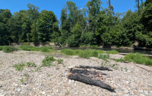 Ohně na chráněném území ohrožují vzácné druhy. Strážci řešili dvě ohniště