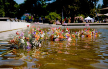 Rozárium patří mezi nejlepší na světě. Olomoucká zahrada plná růží získala ocenění