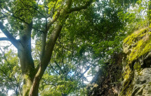 Nový projekt Lesů ČR míří k ochraně přírody. Zaměří se i na Šumpersko a Jesenicko