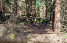 Uzavřená část naučné stezky. V Jeseníkách se těží dříví