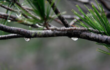 Slunečné počasí vystřídají ničivé lijáky. Sešla se kvůli nim i povodňová komise