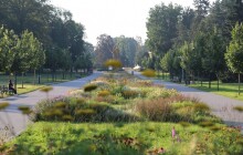 Olomouc je množstvím městské zeleně unikátní. Nová strategie pomůže s její péčí a rozvojem