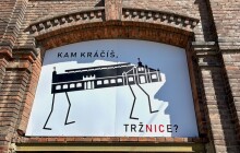 Highlighty týdne: Další uzavírky, nová cyklostezka a grafika na Tržnici