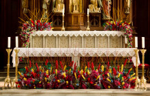 FOTOREPORT: Olomouc rozkvetla. Kostely i vila Primavesi zdobí jedinečné květinové instalace