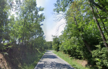 Kvůli kácení nemocných stromů bude Zolova ulice v Olomouci dočasně uzavřena