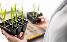 Češi zkoumají pěstování plodin ve vesmíru. Olomoučtí vědci vyšlou na ISS bioreaktor