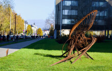 FOTOREPORT: Olomouc zaplnily sochy Jana Dostála. Ve městě vydrží až do zimy