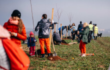 Dobrovolníci a potomci vysídlených rodin vysadili na Prostějovsku Alej svobody