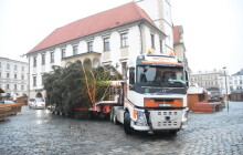FOTO: Olomoucký vánoční stromek už je na místě