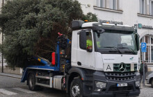 Litovelský strom čeká na jméno. U olomouckého rozhodly místní děti