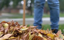 Za prohřešky budou zvelebovat město. Mladiství nastoupí do ulic Šternberka