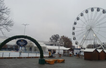 ANKETA: Sportovní zimní sezóna začala. Jaké sporty mají Olomoučané nejvíce v oblibě?