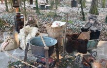 V olomoucké zoo připravili novoroční prohlídky