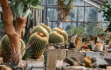 Exotické rostliny, zajímavá zvířata i lákavé výstavy. Sbírkové skleníky se opět otevírají