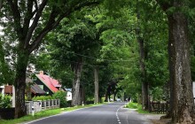 Alej z Rejvízu je nejoblíbenější v kraji a druhou nejoblíbenější v republice