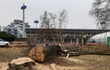 ASO park se dočkal. Velkolepé plány na jeho obnovu se konečně začaly realizovat