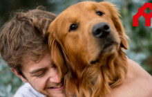 Šumperk vlastní útulek mít nebude. Pokračujeme v řešení, které je rychlejší, odůvodňuje město