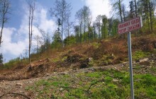 Střelba z tanku, hluk z Libavé i nedalekých Přáslavic. Výcvik vojáků můžete slyšet už dnes