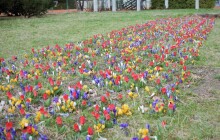 Zahrádkářské tipy z Kostelce na Hané: Pozor na sucho v jarních měsících