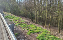 Lidi i peníze bychom mohli využít efektivněji. U silnice se uklízelo enormní množství odpadu