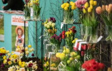 Techno uprostřed rozkvetlé výstavy. Letošní Floru doplní zvuky