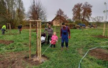 Lidé se na Olomoucku zapojili do sázení stromů na 177 místech. V Pavlovicích sázeli hned šestkrát