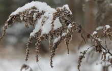 Ledovka, vítr i mrznoucí déšť. Meteorologové vydali výstrahu