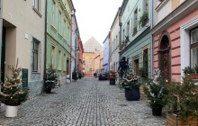 Olomoucké uličce vládnou vánoční stromky. Podívejte se jak vypadá