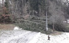 Arcibiskupské lesy Olomouc: Vichřice poškodila tisíce metrů krychlových dřeva